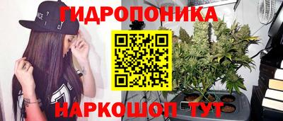 jwh Можга
